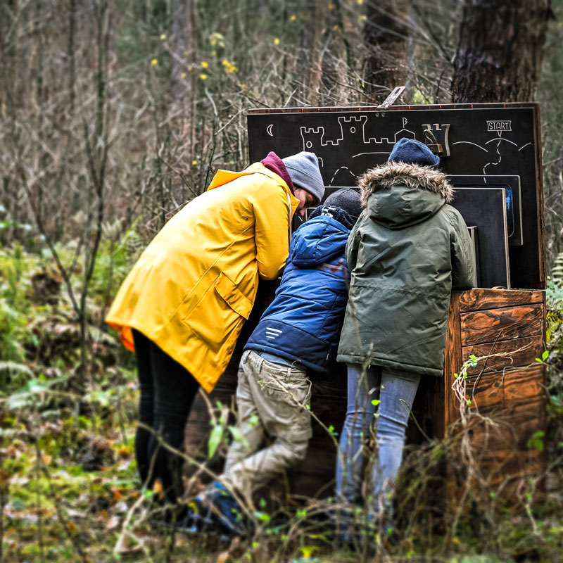Kinder und Junge Frau spielen mit findAbox im Wald