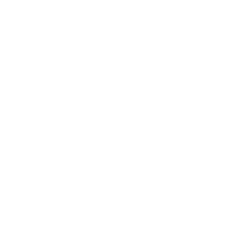 Icon_Anruf_weiss.png Icon Kundengespräch