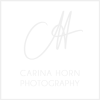 carina-horn carina-horn